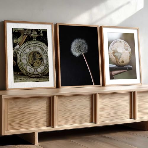 Image of HOTHOUSE Abstract Painting Home Decorative Abstract Wall Art poster With Frame For Living Room Bed Room Hotel Wall Decor Digital Reprint Set of 3 (13X17 inch)