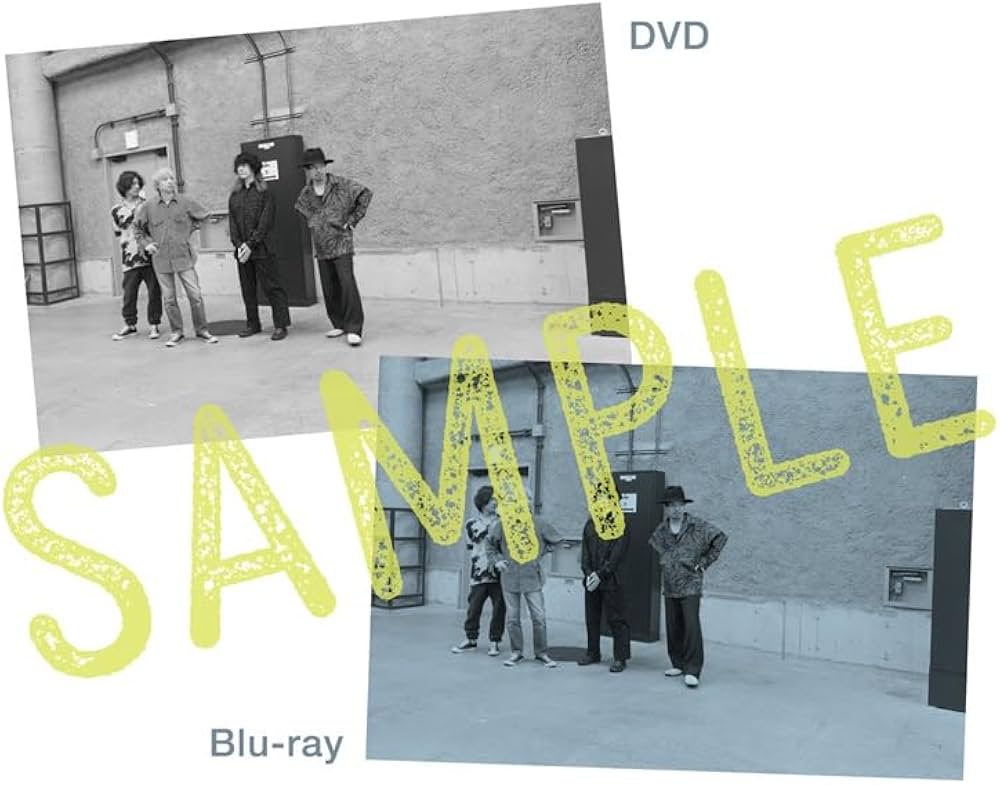 クリープハイプ　 CD、DVDセット Amazon.co.jp: 【Amazon.co.jp限定】現メンバー15周年記念公演「2024年