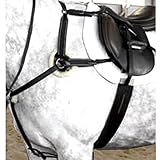 Hält Sattel sicher am Platz Exselle Elastic fünf-Punkt Vorderzeug, AEBP148C, Cob Black, Cob