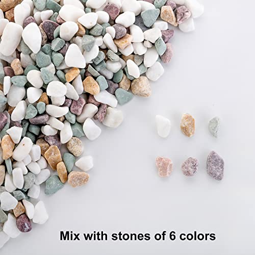 Aquarium Rocks-3Lb Natural Decorative Mixed Color Pebbles Fish Tank Gravel Small Garden Rocks Soil Cover For Aquariums, Mixed Color Stones,For Aquariums Gravel,Vase Fillers (2.2Lb Color Mixing) #TOP1