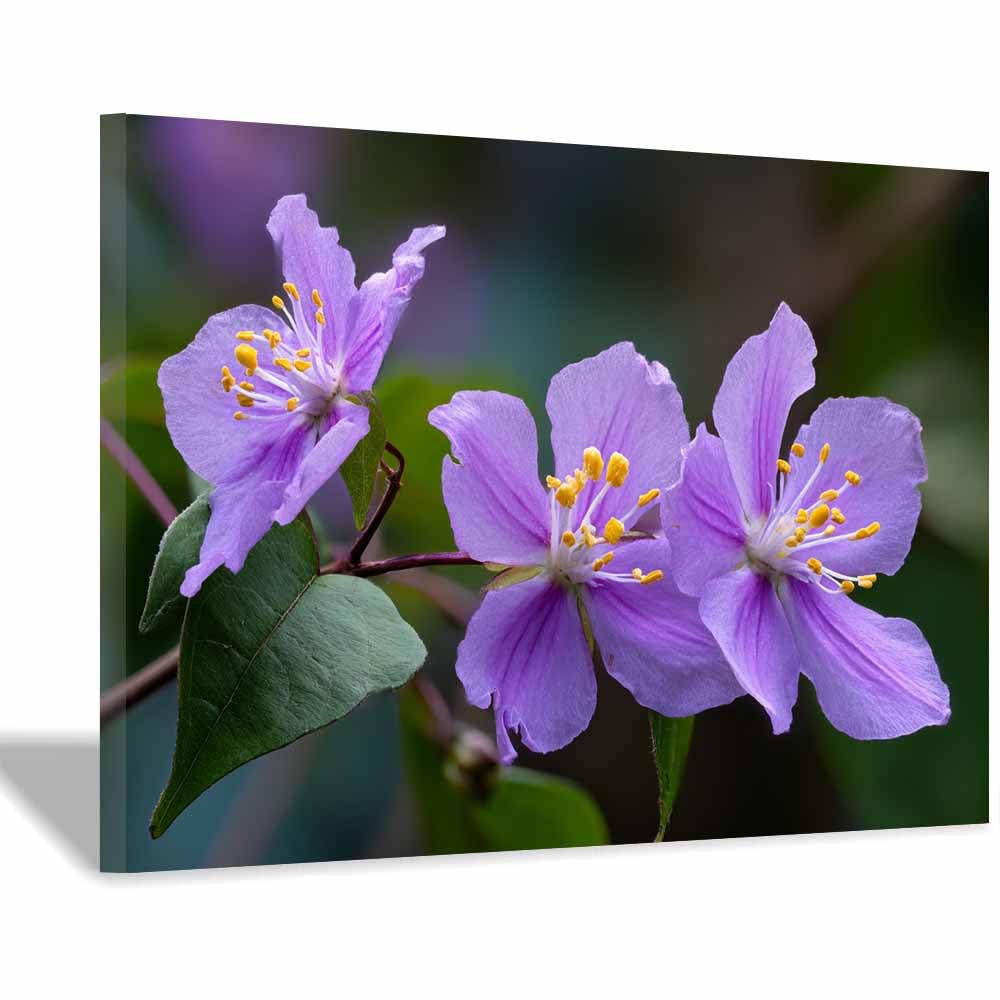 ZAMAEIU Landscape Wall Art Clusters of purple flowers Modern Canvas Print On Artwork, Suitable for living room, bedroom, for Kids Room Decoretc.(Purple;)-30x50cm Framed