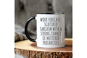 Funny Coworker Gift, No Crisis Allowed, Funny Work best friend Gift, Office...