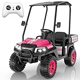 Kids Golf Cart w/Detachable Awning–4WD 2 Seater Ride on Car w/Large Storage Trunk, Remote Control, 3 Speeds, Music Player, LED Lights, Gift for Kids Ages 3-8(Pink)