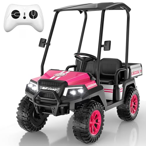 Kids Golf Cart w/Detachable Awning–4WD 2 Seater Ride on Car