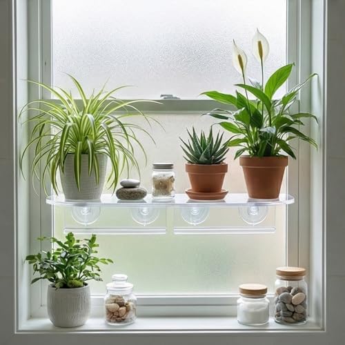 Étagère de jardin ventilée et support plantes multi-usage compact - 5