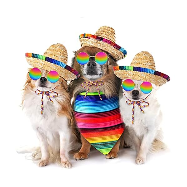 3 pcs mexican sombrero hat pet serape poncho costume include multicolor cinco de mayo dog bandana fiesta triangle bib dog sombrero hat round sunglasses costume for dog gifts cinco de mayo party decor - image 6
