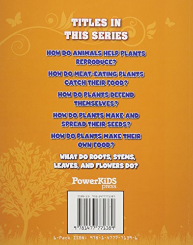 What Do Roots, Stems, Leaves, and Flowers Do? (The World of Plants) - Image 2