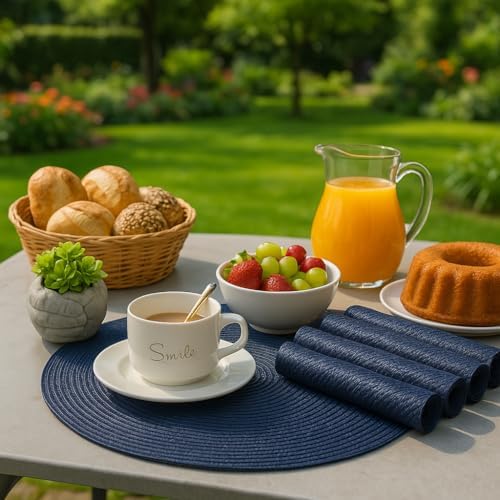 Kit Jogo Americano 6 Unidades Redondo 38cm Mesa Posta Elegante So...