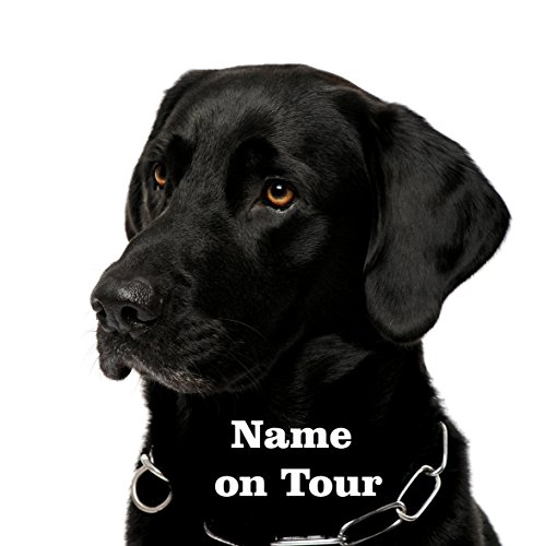 wodtke-werbetechnik Hundeaufkleber Labrador schwarz