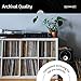 Hudson Hi-Fi Vinyl Record Outer Sleeves Covers - Premium Clear Vinyl Record Sleeve 100-Pack - Protect Your LP Albums from Scratches, Dirt & Dust - 3mm Thick No-Acid Exterior Disc Cover
