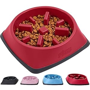 Gorilla Grip Slow Feeder Dog and Cat Bowls, Interactive Puzzle Toy for Dogs and Cats Food Training, Keeps Pets Busy and Prevents Puppy Overeating, Large, Small Breeds, 100% BPA Free, 1 Cup Red