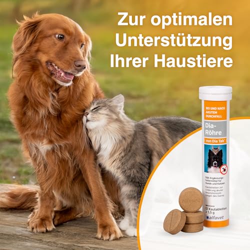 alfavet Dia Tab Röhre 12 x 5,5 g – Diät-Ergänzungsfuttermittel für Hunde & Katzen – Kautabletten bei Durchfall – Mit Bentonit & pflanzlichen Inhaltsstoffen zur Regulierung der Verdauung