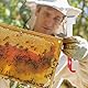 Bienenstock Schaber Werkzeug, Hive Tool, Imkerwerkzeuge Ausrüstung, Imkerei Schaber, Imker Stockmeißel Werkzeug, Imker Abstreicher, Ein Ausgezeichnetes Werkzeugzubehör für Imker, 2 Stück