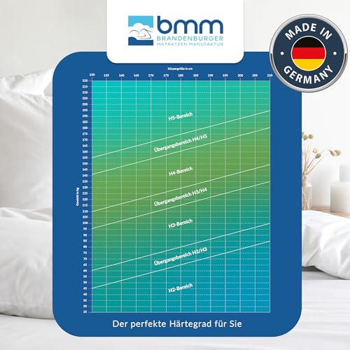 BMM Matratze 180x200cm Komfort 23 H4 extra fest/Kaltschaummatratze Öko-Tex...