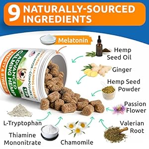 Barkspark advanced calming hemp treats for dogs  hemp oil + melatonin  anxiety relief  separation aid  stress relief during fireworks storms thunder  aggressive behavior barking  120 chews   cucciolini doodles