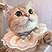 Psdndeww Pet Costume for Cat Dog Lace Princess Saliva Towel Bib Scarf Holiday Dress-Up Accessories for Cats Small Do