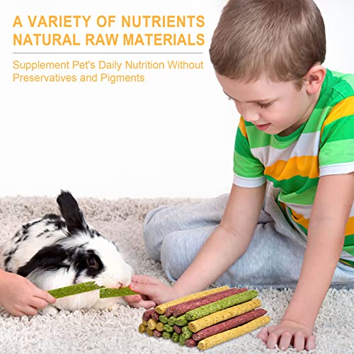 LSSH GmbH 25Pcs Timothy Hay Sticks , Natural Flowers Flavored Timothy Hay Sticks , Natural Chews for Rabbits… - Image 4