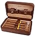 AMANCY Premium Brown Leather Travel Cigar Case,Luxury Portable Cigar Humidor W/Quality Cigar Cutter Lighter Set