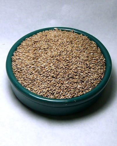 Canary Seed / Alpiste 5lb