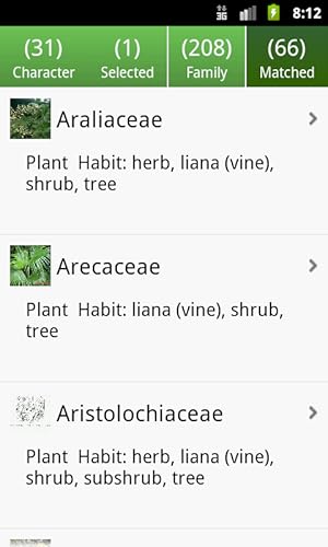Key: Plant Families