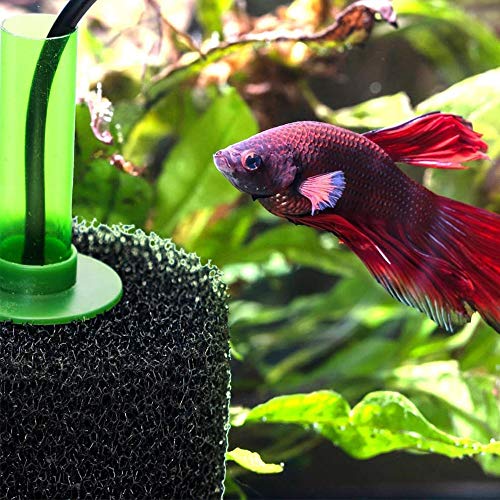 Image of 5.9 inch Big Prefilter Sponge Foam Replacement, Black | Filtration Kit, For Pond Aquarium Fish Tank