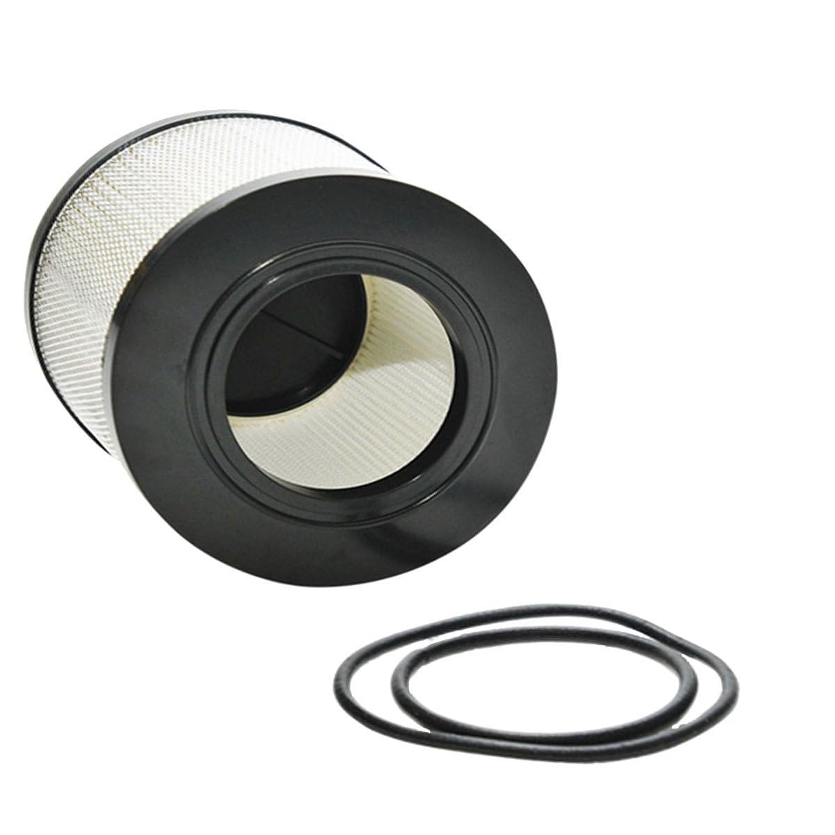 Filtro Hepa para aspiradora 21738000 NILFISK