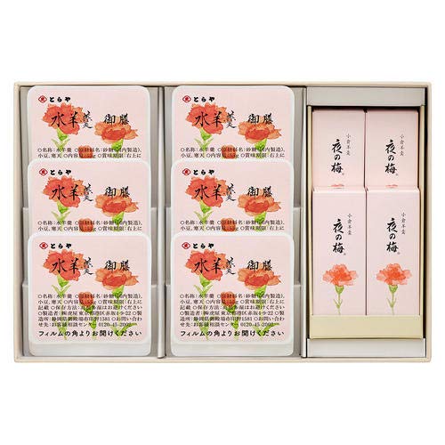 とらや 虎屋 母の日限定 羊羹 水羊羹詰合せ C-2 10個入 【お母さんありがとう熨斗付き ショップバッグ付き】 ギフト 贈答 プレゼント 母の日 和菓子のサムネイル