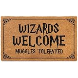 MAINEVENT Wizards Welcome Tolerated Door Mat 30x17 Inch, Wizarding Doormat for Covered Outdoor Area, Wizarding Geeky Welcome Mat Outdoor Decor, Funny Nerd Gift, Geek Decor