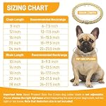 Gold King Pendant Gold Dog Collar – 14mm Width Cuban Link Dog Necklace, Fashionable Pet Collar for Small Dogs, Medium Dogs, and Cats, Lightweight Metal Jewelry Chain Dog Accessories Gold 8 inches