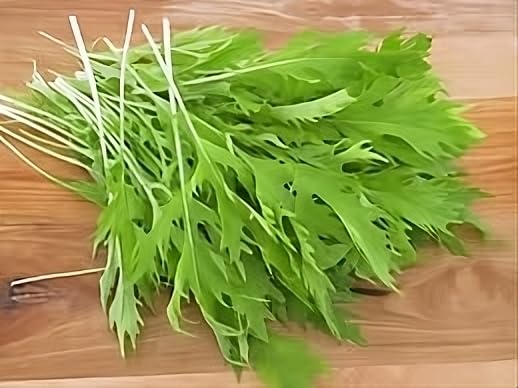 Miniatura 2 de Mostaza Mizuna Great Heirloom Vegetable By Seed Kingdom BULK 30,000 Semillas