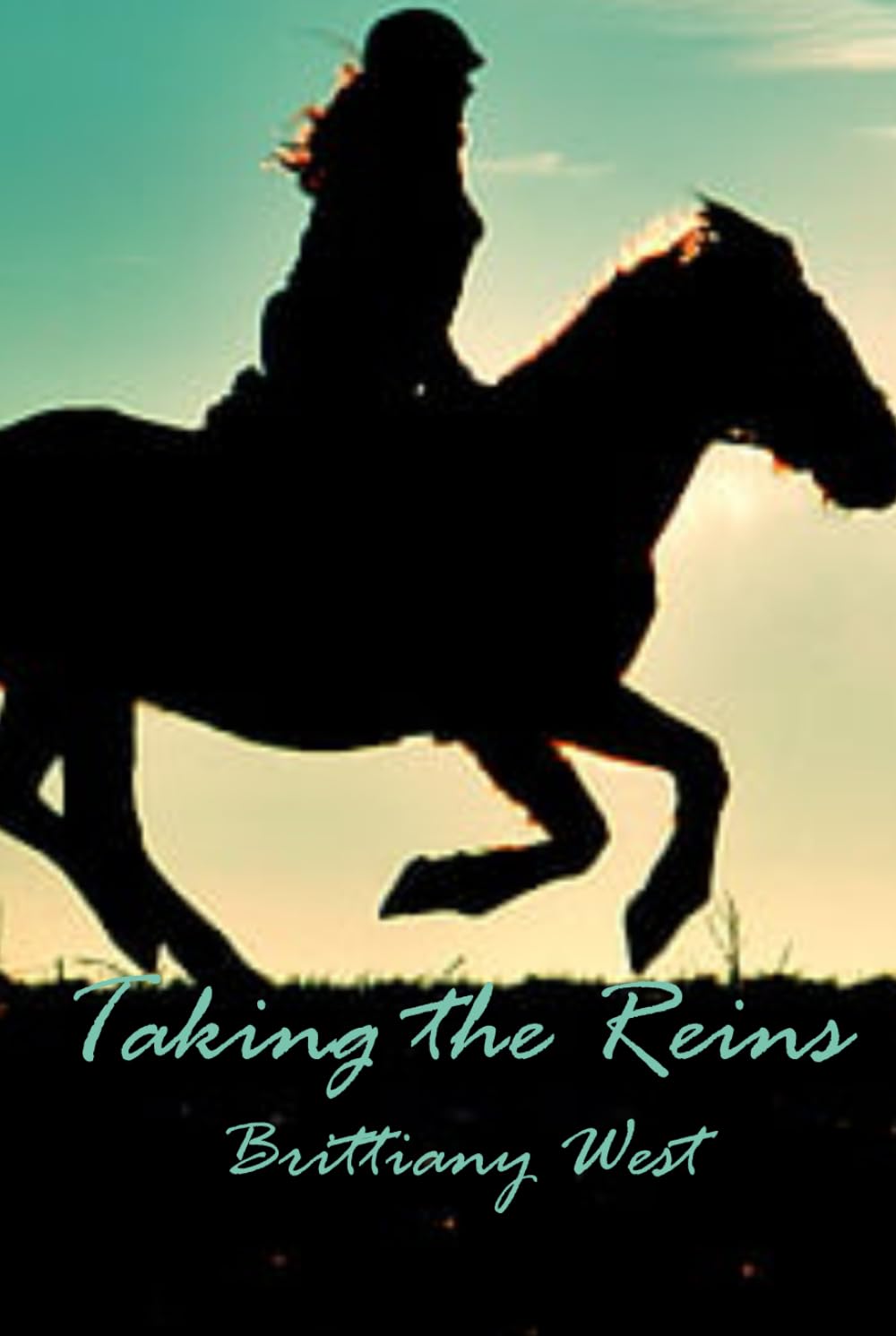 Taking the Reins