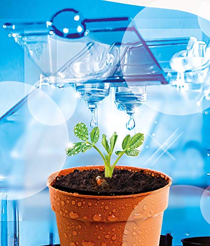 Clementoni 59081 Galileo Science – Experimentieren im Gewächshaus, Pflanzkasten & Samen für Mini-Gärtner und angehende Botaniker, Spielzeug für Kinder ab 7 Jahren - 2