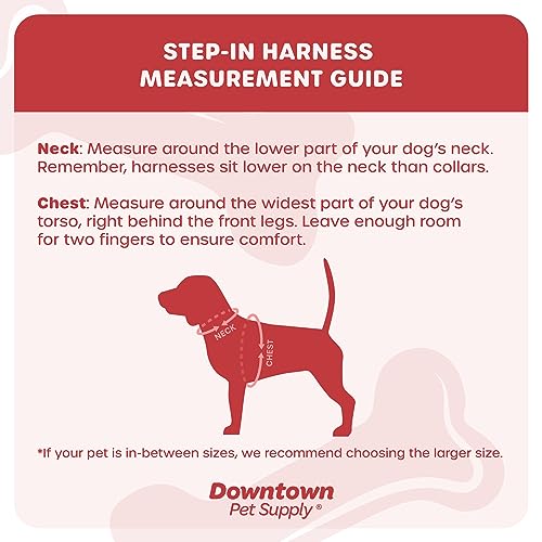 Small Dog Step-in Harness with Reflective Trim