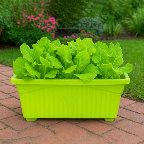 Image of Bianco Rectangular Plastic Pots for Plants, Jupiter Flower Pots for Home, Window Display, Garden (35 x 18.5 x 15 cm) (Green) (Pack of 3)