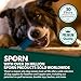 Sporn Ultimate Marrow Dog Chew Bones for Aggressive Chewers, Jerky Flavor Nylon Dog Bones, Non-Toxic Dog Chew Bone, Gluten-Free, Medium/Large