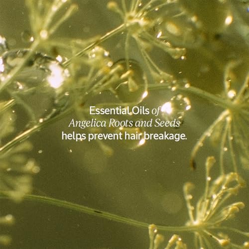 L'Occitane Intensive Repair Conditioner for Damaged Hair - Image 7