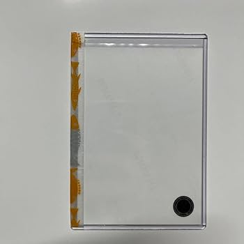 Amazon.co.jp: NMB48 新澤菜央 直筆 : おもちゃ