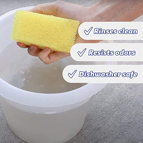 Scrub Daddy Large Sponge - Big Daddy - Scratch-Free Multipurpose Dish Sponge - Bpa Free & Made With Polymer Foam - Stain, Mold & Odor Resistant Kitchen Sponge (1 Count) #TOP5