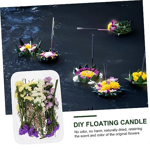 Flores secas decorativas Luxshiny para centro de mesa miniatura 6