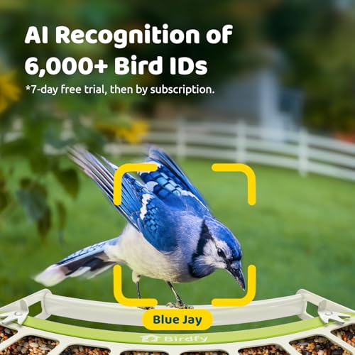 Image of Birdfy Smart Bird Feeder with Camera, Durable Metal Bird Feeders for Outdoors, Auto-Detect & Record HD Videos, Instant Alerts & Live View, Solar Powered, Weatherproof for Backyard, Ideal Gift for Mom
