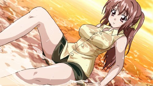 そらのおとしもの -ドキドキサマーバケーション-の関連画像2