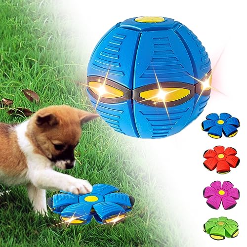 Best Pet outdoor toys
