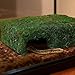 Hollima Mossy Cave Hide for Reptiles, Lizard Moss Hideout with Safe Shelter, Snake Cave Hut for Themed Terrarium Ideal for Gecko Hamster Snake to Rest & Hide
