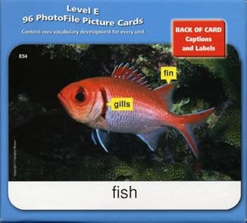 Avenues E: Photofile Picture Cards