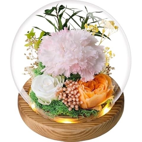 Immortal Beauties – The Ultimate Preserved Flower Collection for All Occasions, Send Your Love with Birthday Flowers and Sympathy Flowers, A Forever Flower Gift for That Special Someone Cover