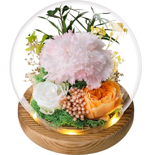 Immortal Beauties – The Ultimate Preserved Flower Collection for All Occasions, Send Your Love with Birthday Flowers and Sympathy Flowers, A Forever Flower Gift for That Special Someone