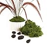 Caiyjhao Simulated Green Moss Crafts, Flowerpot Decorative Fillers, Green Decorations in the Center of the Dining Table, Indoor Flowerpots, DIY ，Weddings, Easter, Party Decorations (5.29 Oz) #4