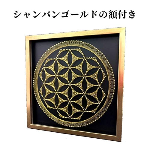 Amazon.co.jp: フラワー オブ ライフの作品 糸と釘を使って制作した糸