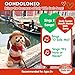 Valentines Toy Puppy - Gondolomio | Animated Plush Italian Dog Sings 2 Songs 