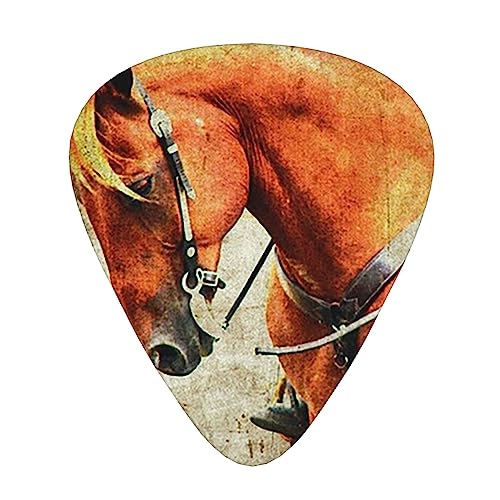 ウエスタンホースグランジ ギターピック Guitar Pick 12枚セット ティアドロップ型 エレキギター/アコースティックギター/クラシックギター/ベース等の練習に最適な12枚セット